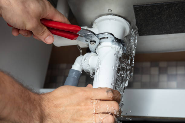 Best Mold removal after water damage  in Lindenwold, NJ