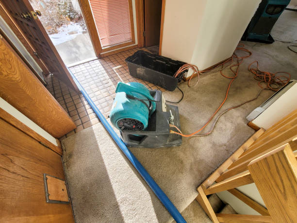 Best Carpet water damage restoration  in Lindenwold, NJ