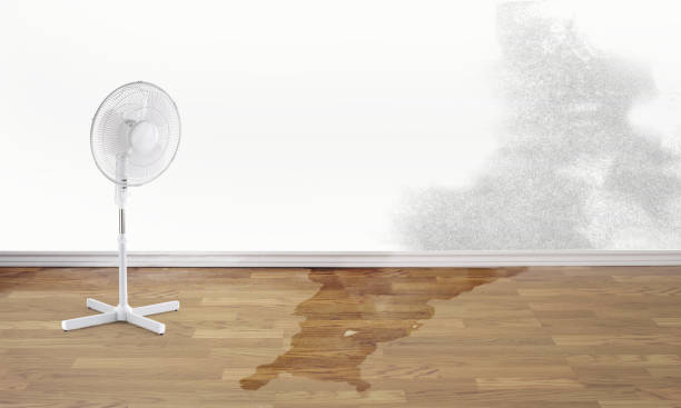 Best Sewage cleanup and water damage restoration  in Lindenwold, NJ