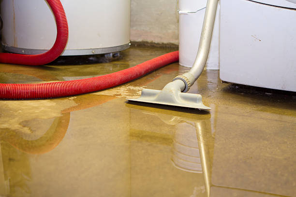 Best Local water damage restoration  in Lindenwold, NJ