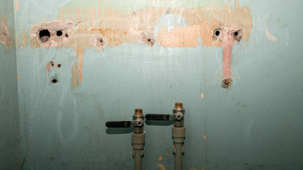 Best Water damage contractors near me  in Lindenwold, NJ