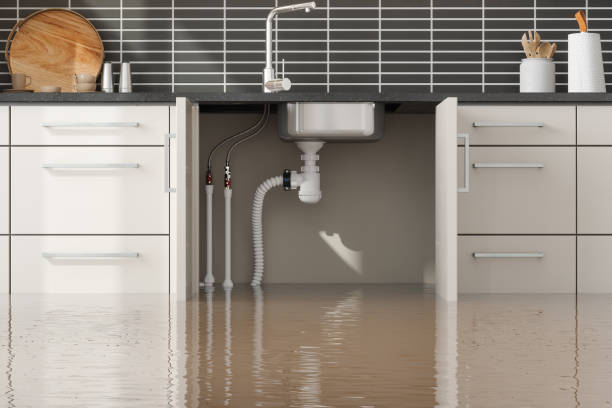Best Water damage contractors near me  in Lindenwold, NJ