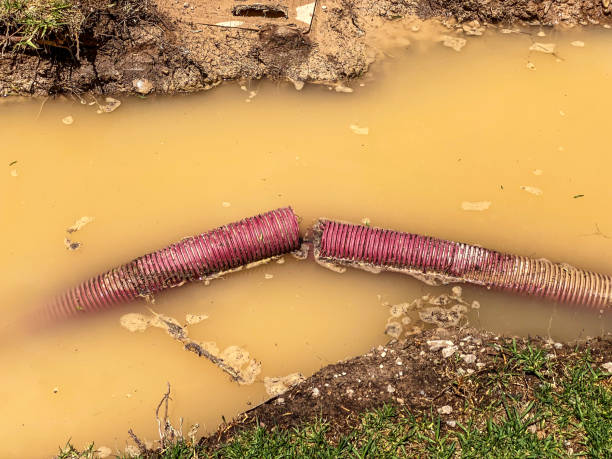  Lindenwold, NJ Water damage restoration Pros